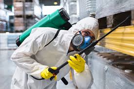 Best Fumigation Services  in Fair Oaks, GA